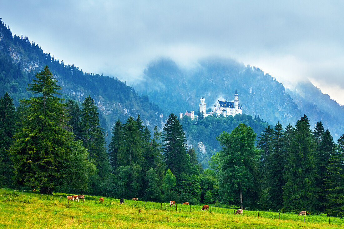  castle, palace, fairytale castle, fog, mountains, Neuschwanstein, Schwangau, Bavaria, Germany, Europe 