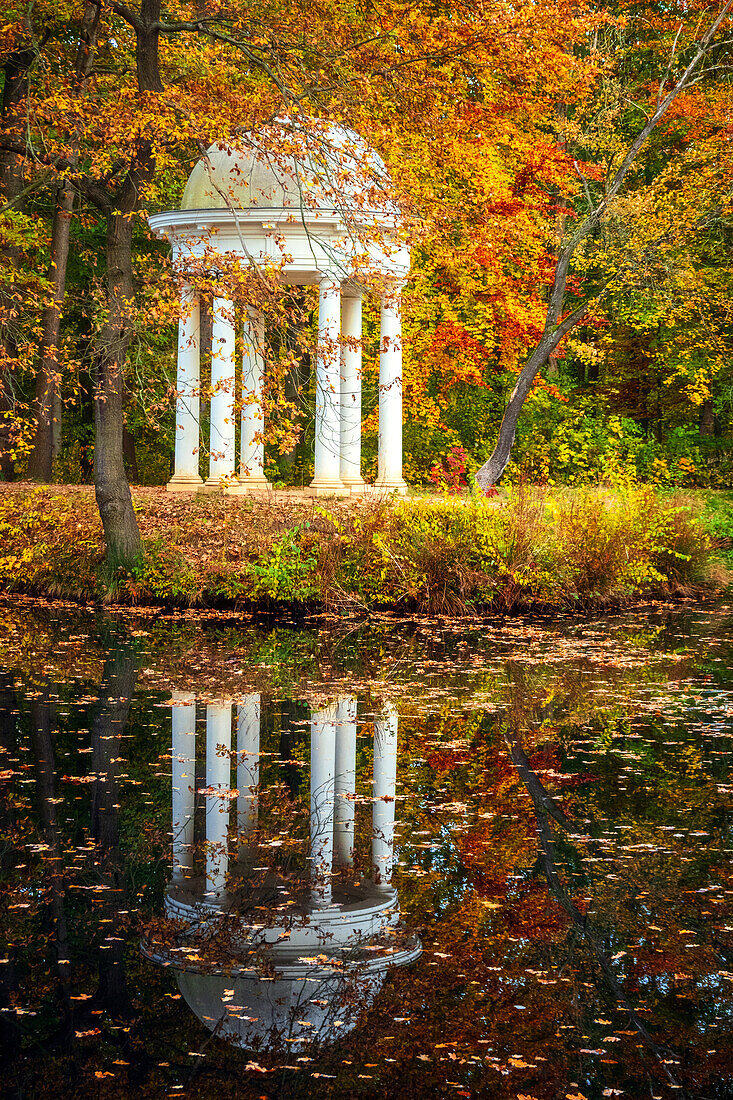 See, Pavillion, Park, Herbst, Laubfärbung, Wald, Auewald, Leipzig, Sachsen, Deutschland, Europa