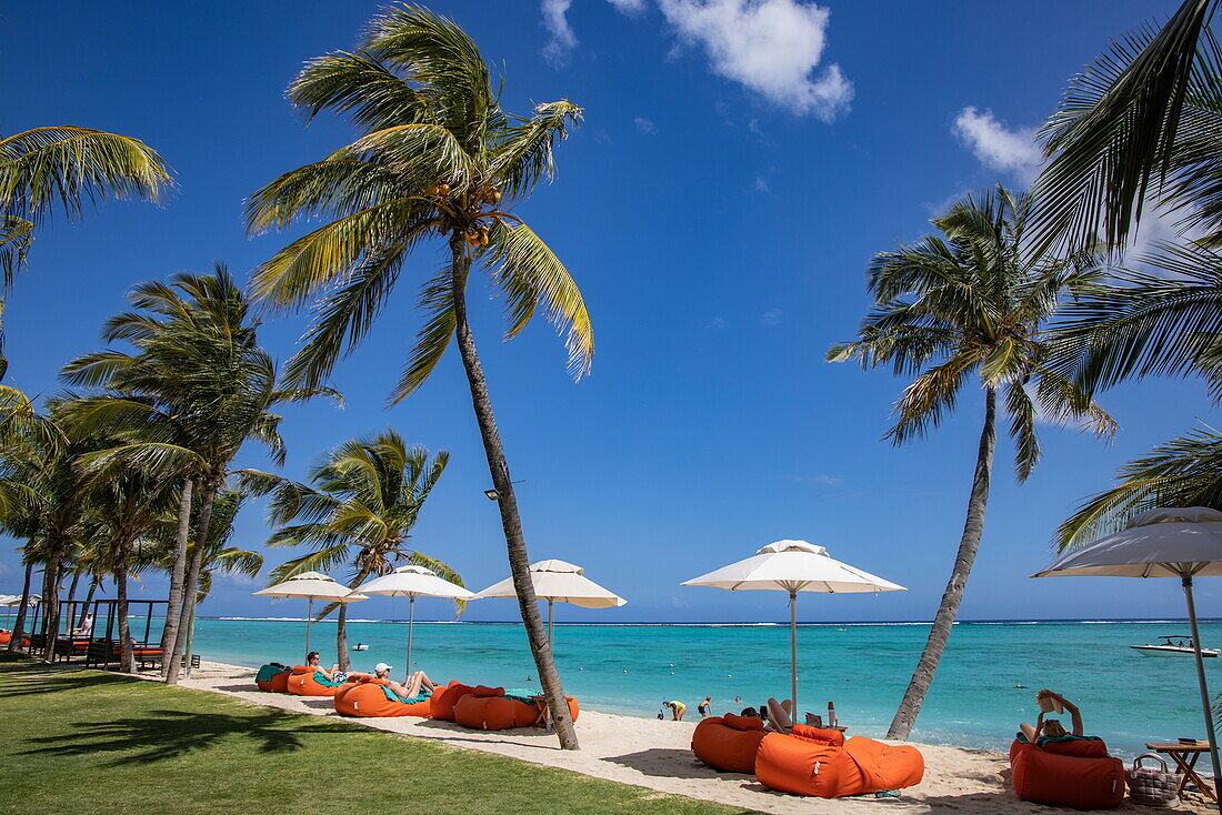  Coconut trees, sun loungers and parasols on the beach of the Dinarobin Beachcomber Golf Resort 