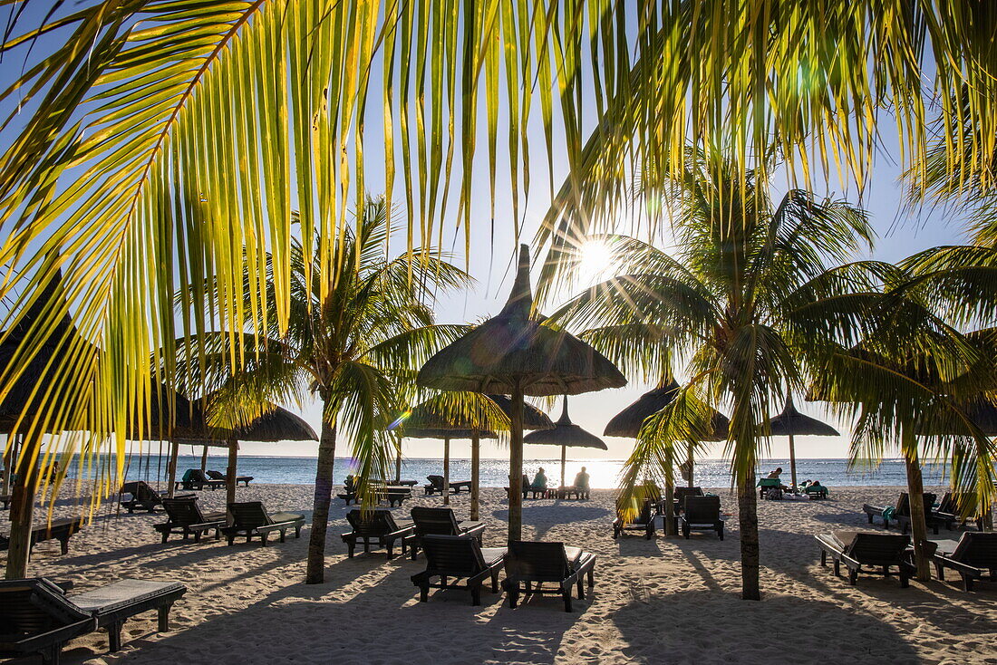 Kokospalmen und Liegestühle am Strand des Dinarobin Beachcomber Golf Resort & Spa, Le Morne, Rivière Noire, Insel Mauritius, Indischer Ozean