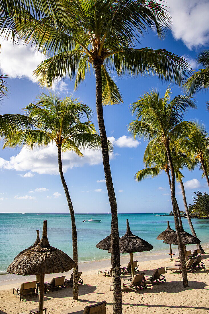 Liegestühle und Strohschirme am Strand mit Kokospalmen im Royal Palms Beachcomber Resorts, Grand Baie, Rivière du Rempart, Insel Mauritius, Indischer Ozean