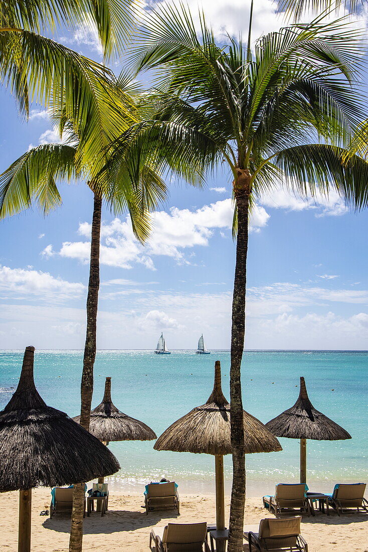  Thatched umbrellas on the beach with coconut trees at Royal Palms Beachcomber Luxury (Beachcomber Resorts) and catamaran sailboats in the distance, Grand Baie, Rivière du Rempart, Mauritius, Indian Ocean 