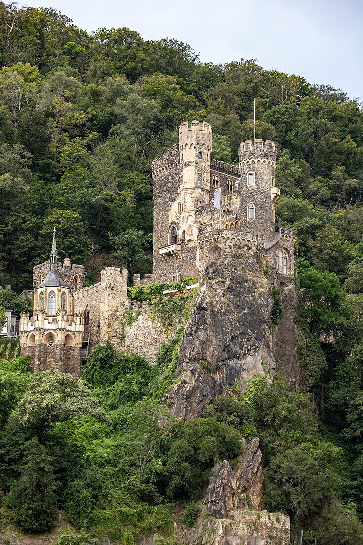 Burg Reichenstein (auch Falkenburg) über dem Rhein, in der Nähe von Trechtlingshausen, Rheinland-Pfalz, Deutschland, Europa