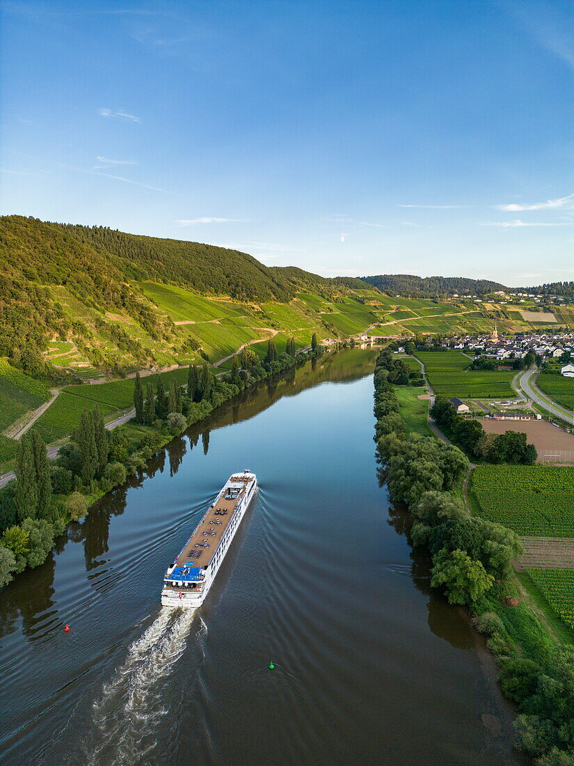 Luftaufnahme des Flusskreuzfahrtschiffs Antonio Bellucci (Thurgau Travel) auf der Mosel, Trittenheim, Rheinland-Pfalz, Deutschland, Europa