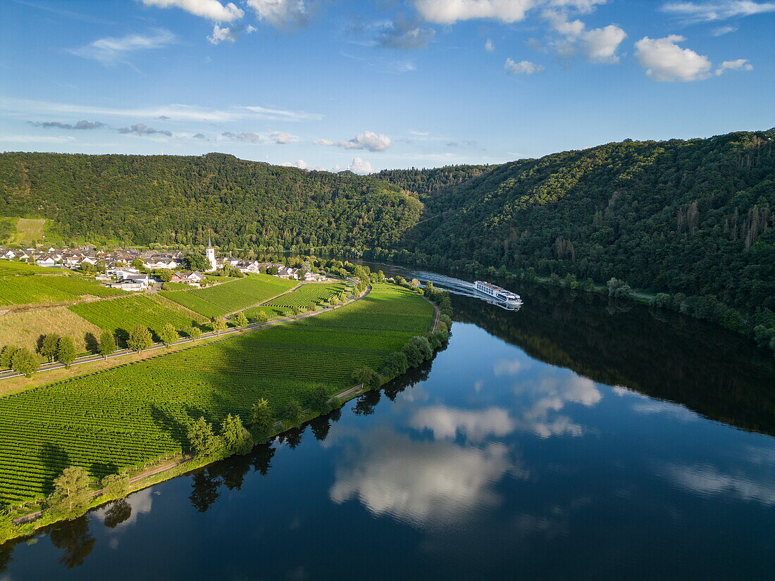 Luftaufnahme des Flusskreuzfahrtschiffs Antonio Bellucci (Thurgau Travel) auf der Mosel, Minheim, Rheinland-Pfalz, Deutschland, Europa