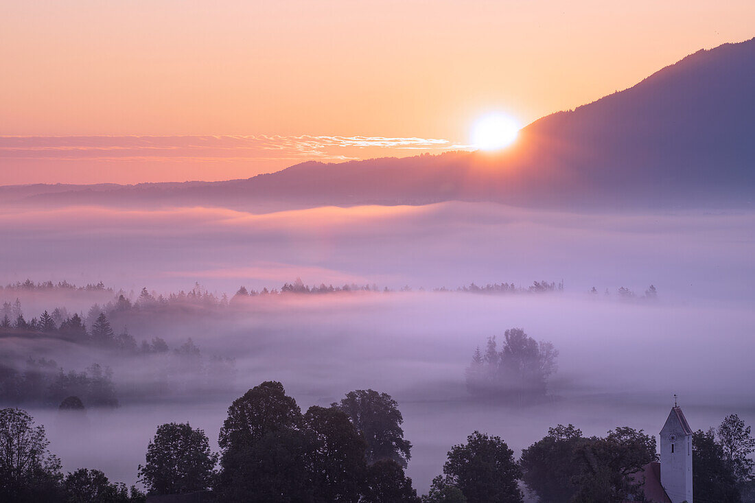  Sunrise over the foggy Kochelmoos, Zell, Großweil, Bavaria, Germany 