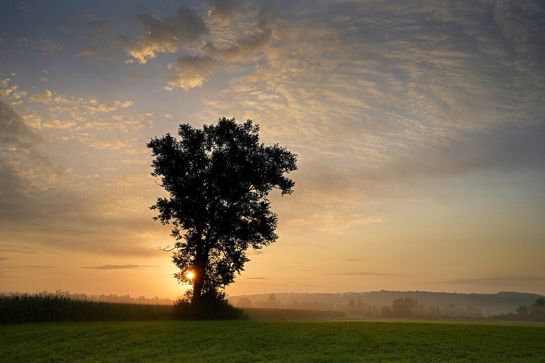 Morgenstimmung nahe Wielenbach, Weilheim, Oberbayern, Bayern, Deutschland