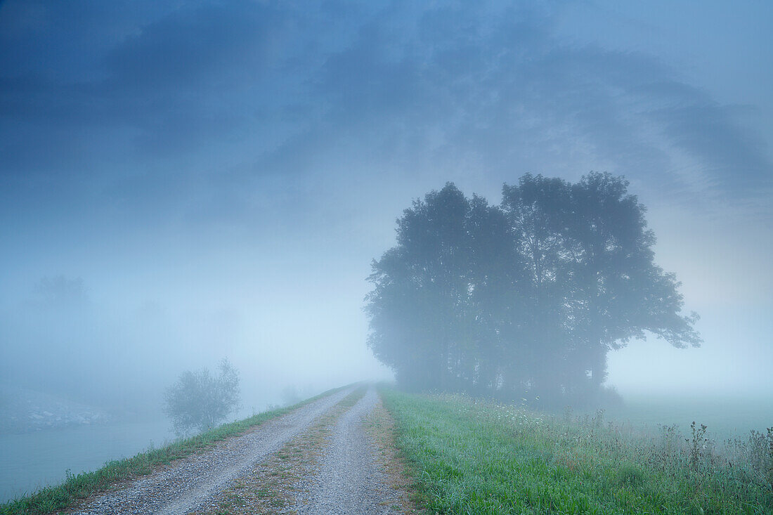  Morning mood near Wielenbach, Weilheim, Upper Bavaria, Bavaria, Germany 