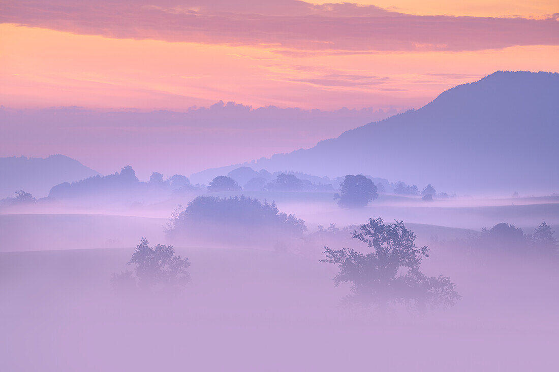 Frühherbst, Nebelmorgen im Alpenvorland, Bayern, Deutschland