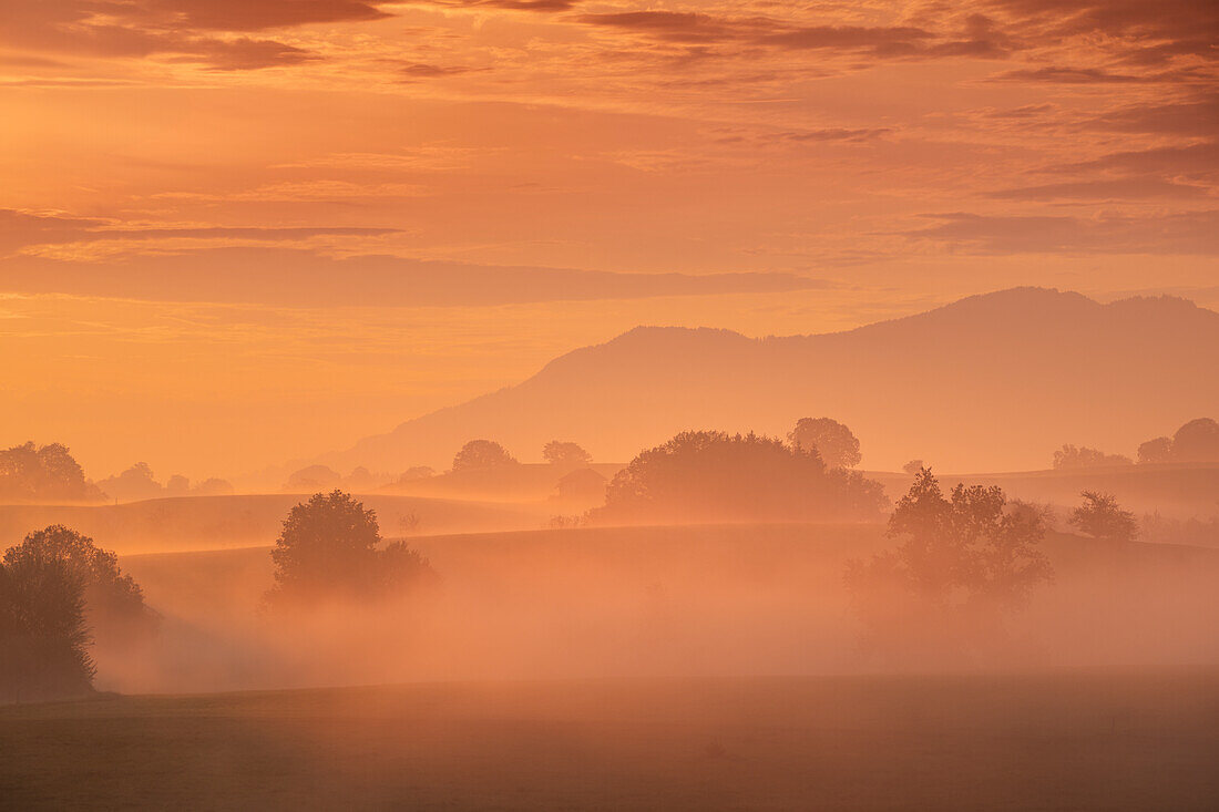  Early autumn - foggy morning in the Alpine foothills, Bavaria, Germany 