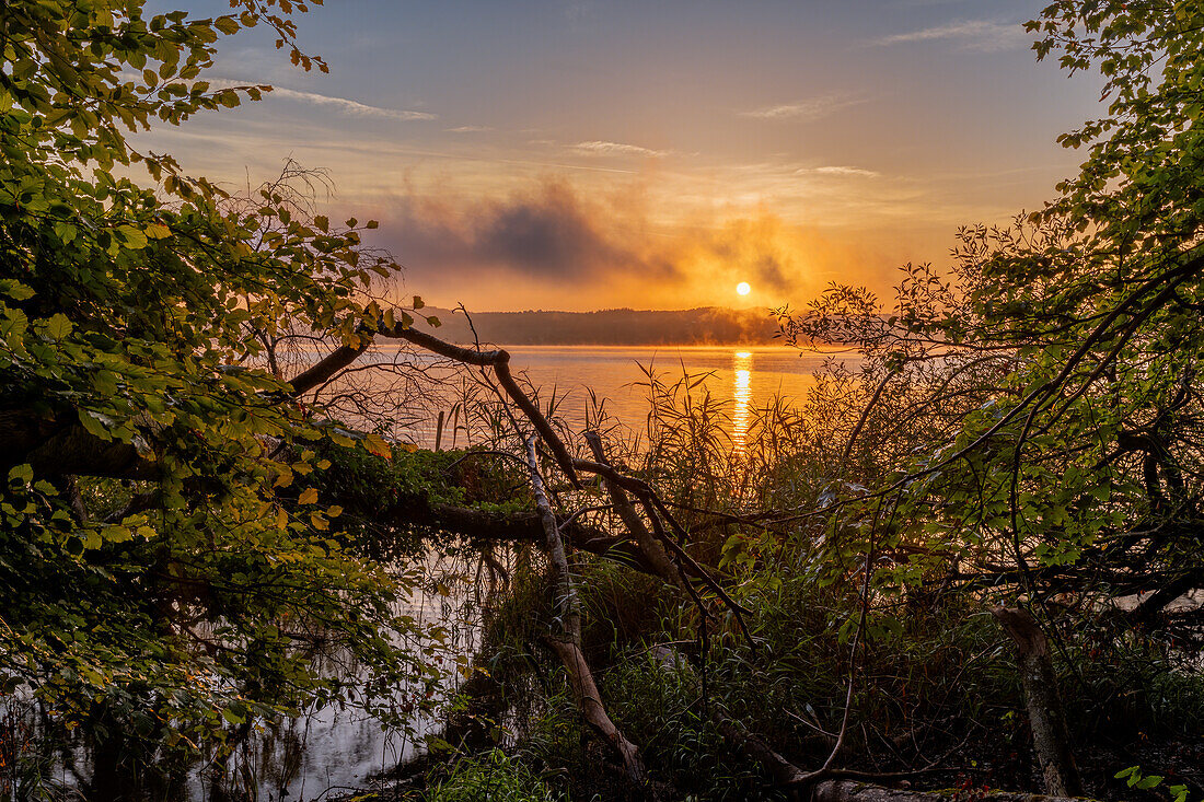  Morning mood at Lake Starnberg near Bernried, Bavaria, Germany, Europe 