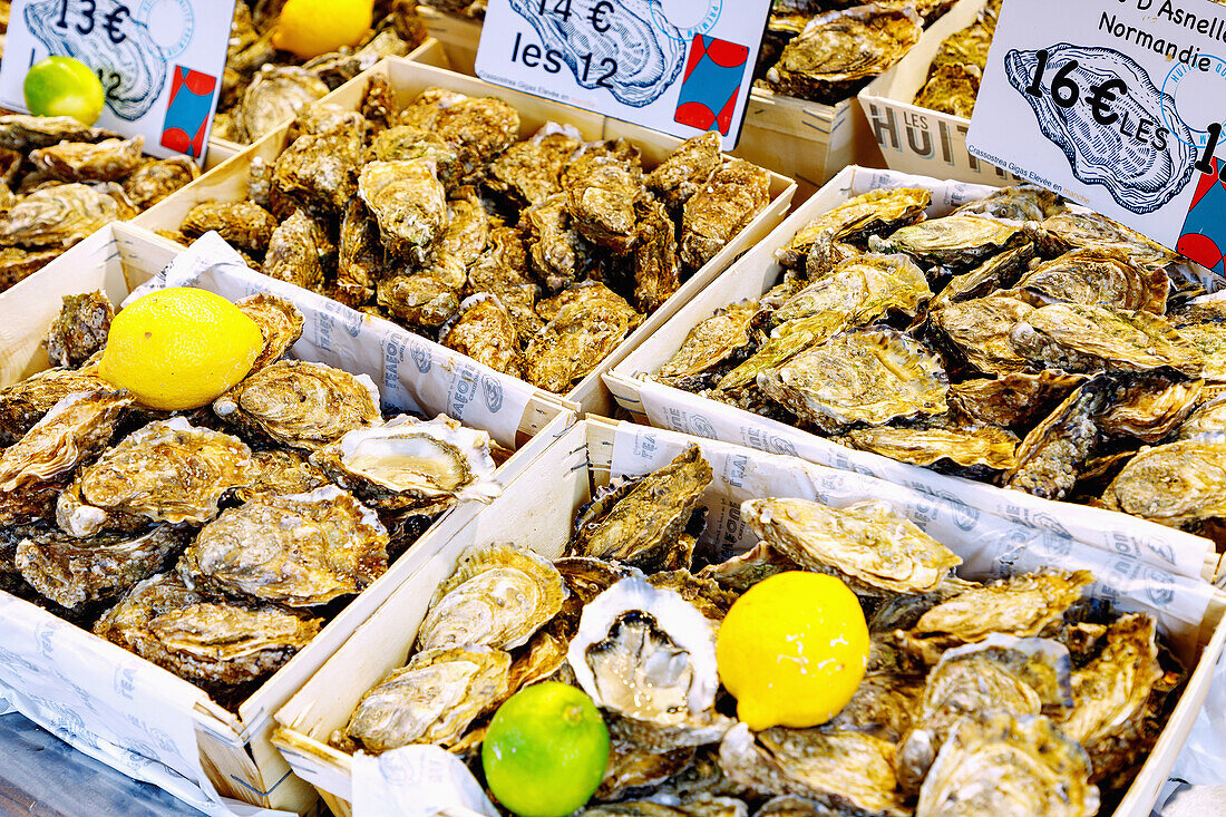  fresh oysters from Normandy and the Manche in the display at the fish market (Poissonerie) in Trouville-sur-Mer (Trouville) on the Flower Coast (Côte Fleurie, Cote Fleurie) in the Calvados department in the Normandy region of France 