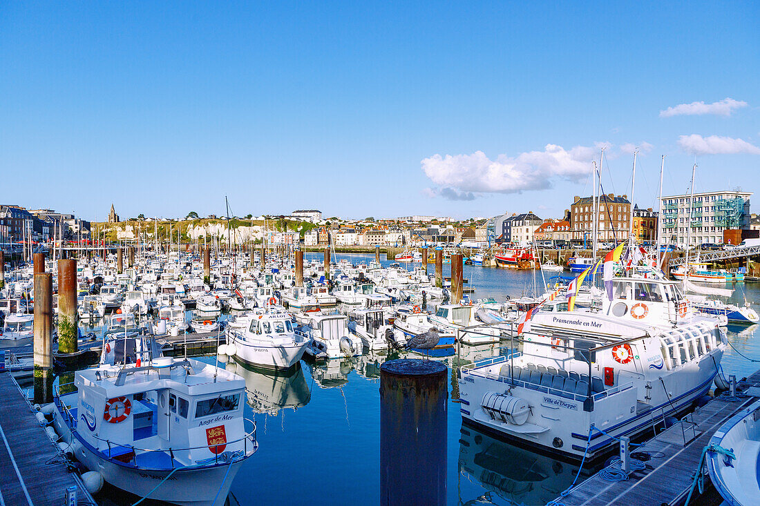  Port Plaisance harbor with colorful fishing boats and yachts at low tide and Notre-Dame-de-Bonsecours pilgrimage chapel on the eastern cliff in Dieppe on the Alabaster Coast (Côte d&#39;Albâtre, Cote d&#39;Albatre) in the Seine-Maritime department in the Normandy region of France 