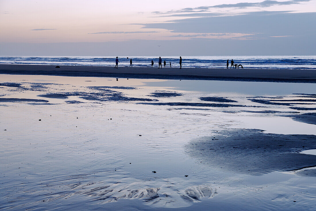 Strand bei Ebbe am Abend in Dieppe an der Alabasterküste (Côte d'Albâtre, Cote d'Albatre) im Département Seine-Maritime in der Region Normandie in Frankreich