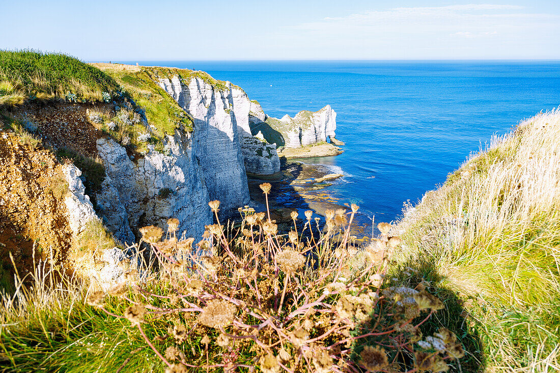 Kreidefelsen mit Felsentor La Falasie d'Aumont in Etretat (Étretat) an der Alabasterküste (Côte d'Albâtre, Cote d'Albatre) im Département Seine-Maritime in der Region Normandie in Frankreich