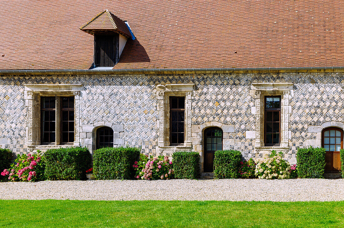  Manoir d&#39;Ango country house with Renaissance façade and blooming hydrangeas in Varengeville-sur-Mer on the Alabaster Coast (Côte d&#39;Albâtre, Cote d&#39;Albatre) in the Seine-Maritime department in the Normandy region of France 