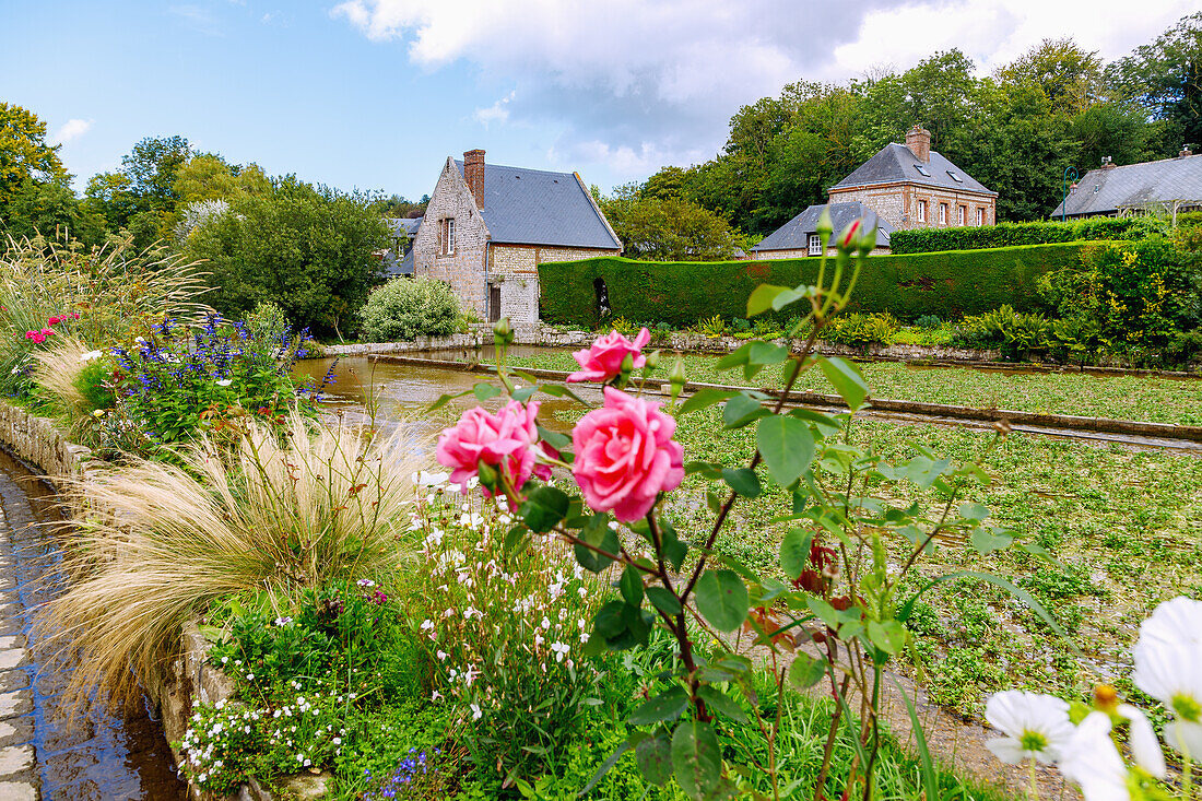  Les Moulins de la Veule with thatched houses and Source de la Veule in Veules-les-Roses on the Alabaster Coast (Côte d&#39;Albâtre, Cote d&#39;Albatre) in the Seine-Maritime department in the Normandy region of France 