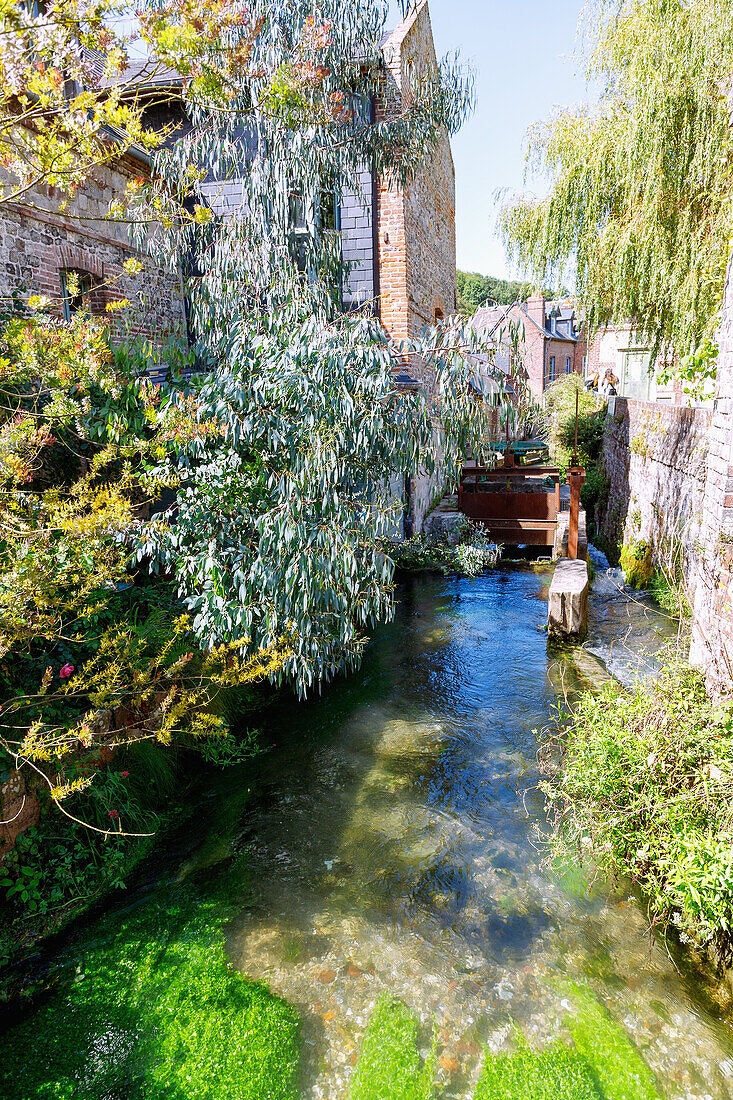 Wassermühle Le Moulin du Marché am Flüsschen La Veules in Veules-les-Rose an der Alabasterküste (Côte d'Albâtre, Cote d'Albatre) im Département Seine-Maritime in der Region Normandie in Frankreich