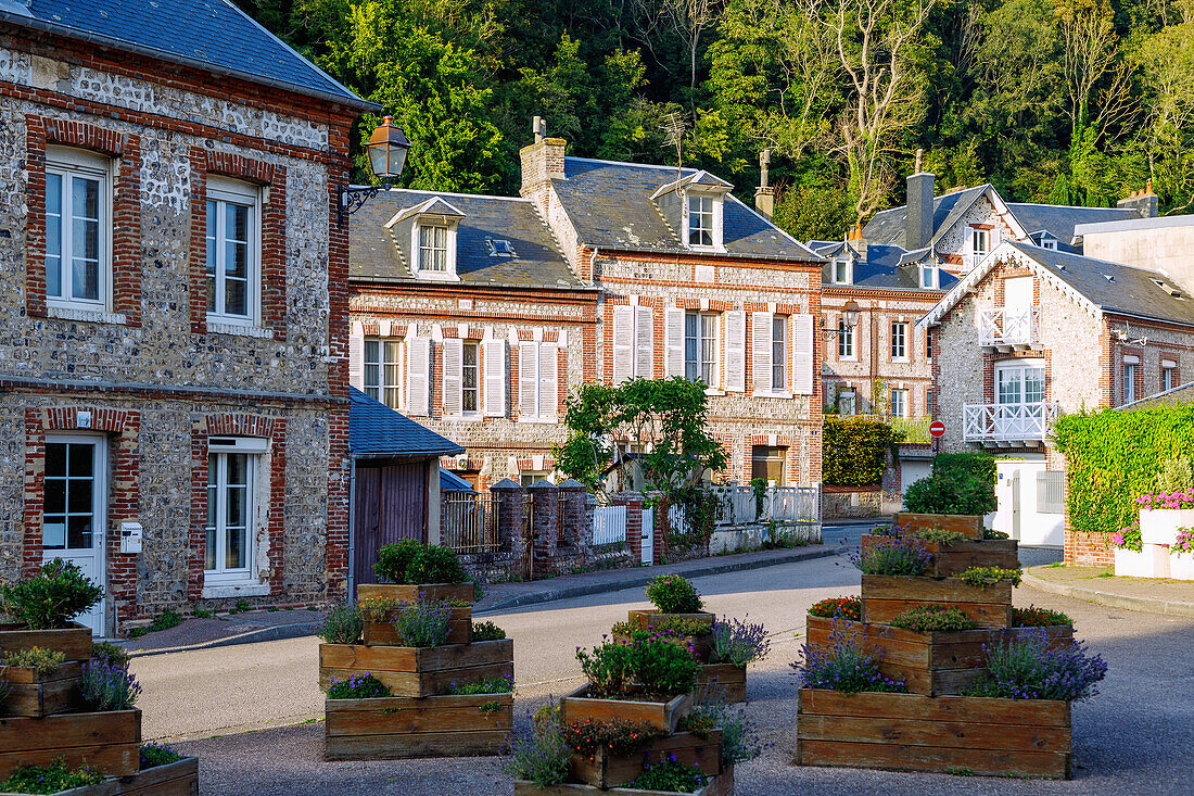  Norman-style houses near the church Eglise Saint-Martin in Rue Tranquille Legros in the evening light in Yport on the Alabaster Coast (Côte d&#39;Albâtre, Cote d&#39;Albatre) in the Seine-Maritime department in the Normandy region of France 