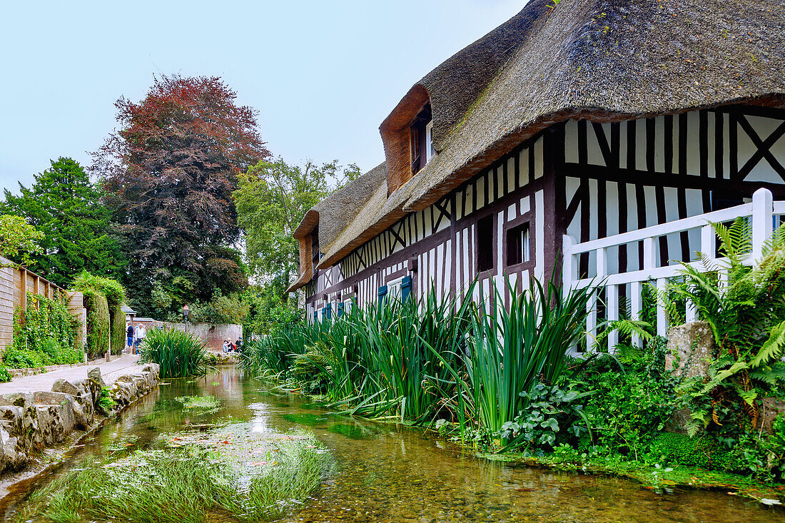 L'Abbreuvoir (historische Tränke, Wassertränke, Tiertränke) und Fachwerkhaus mit Reetdach in Veules-les-Roses an der Alabasterküste (Côte d'Albâtre, Cote d'Albatre) im Département Seine-Maritime in der Region Normandie in Frankreich