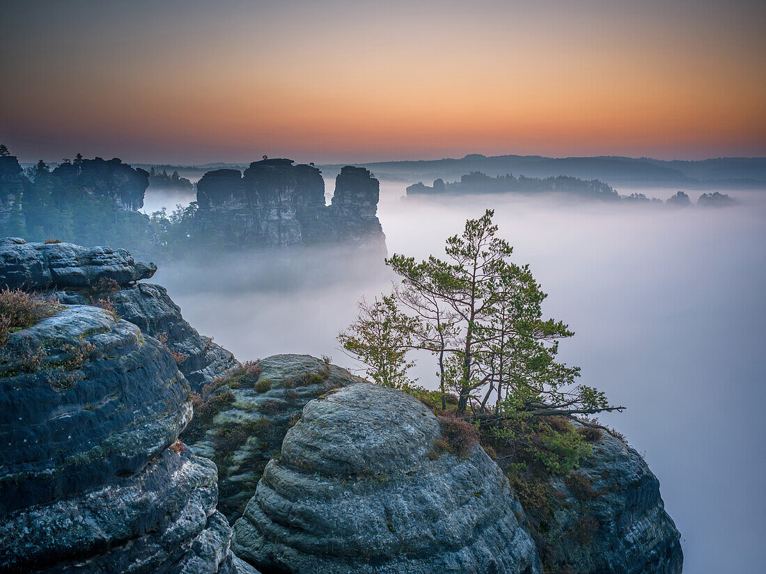  View from Ferdinandstein at sunrise, Bastei, Saxon Switzerland, Elbe Sandstone Mountains, Saxony, Germany, Europe 