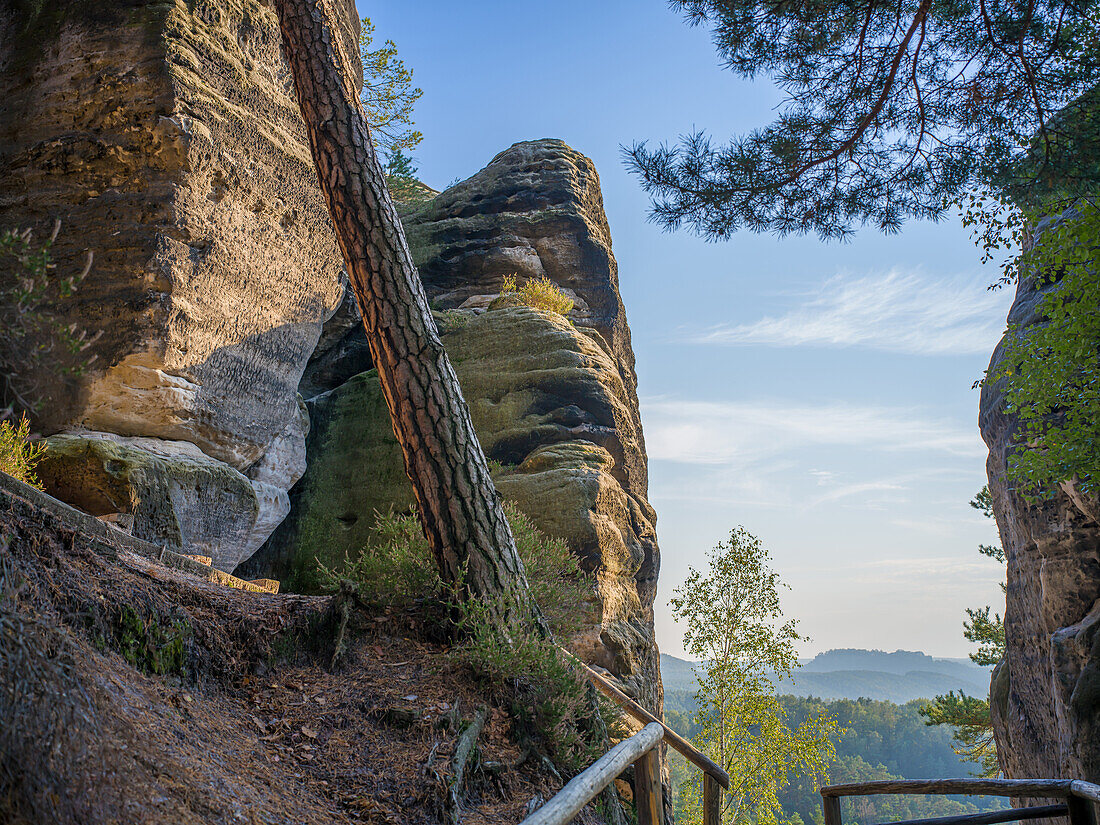  Ascent to Gamrig, Saxon Switzerland, Elbe Sandstone Mountains, Saxony, Germany, Europe 