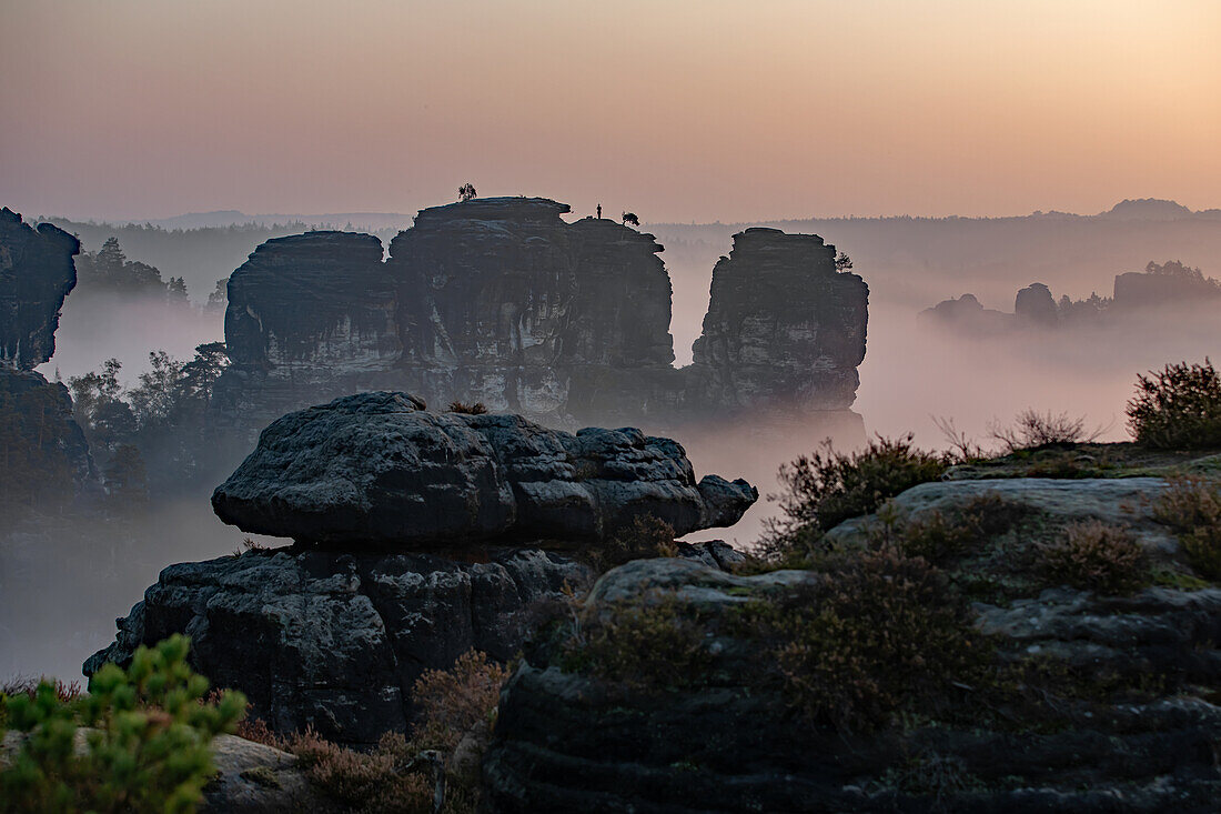  Fog at sunrise, Saxon Switzerland, Elbe Sandstone Mountains, Saxony, Germany, Europe 