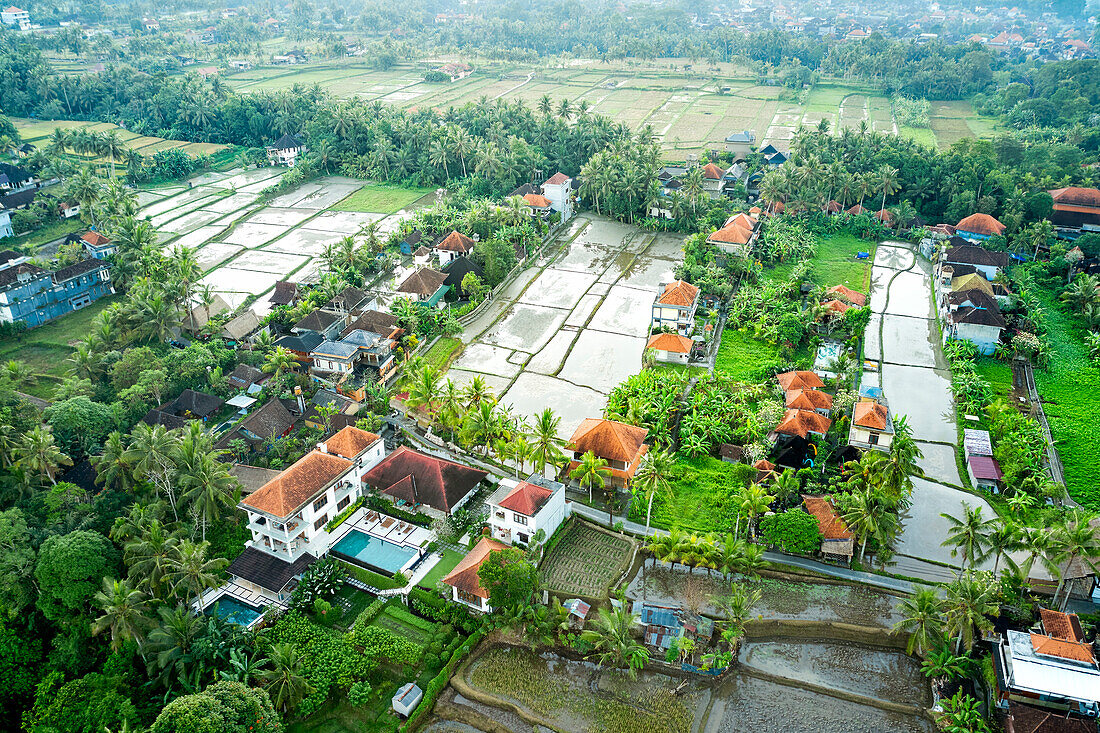  Luftaufnahme von überfluteten Reisfeldern und Landhäusern in Ubud, Bali, Indonesien. 