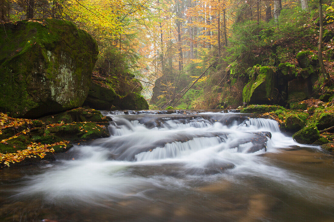  Kirnitzsch in the Elbe Sandstone Mountains, Saxon Switzerland National Park, Saxony, Germany 