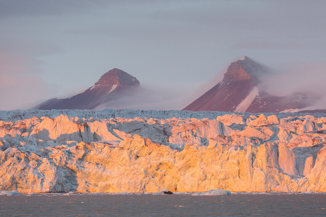  Kongsbreen glacier in the evening light, Kongsfjord, Spitsbergen, Norway 