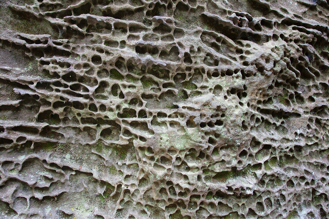  Sandstone, Elbe Sandstone Mountains, Saxon Switzerland National Park, Saxony, Germany 