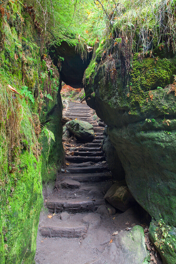  Schwedenloecher, Elbe Sandstone Mountains, Saxon Switzerland National Park, Saxony, Germany 