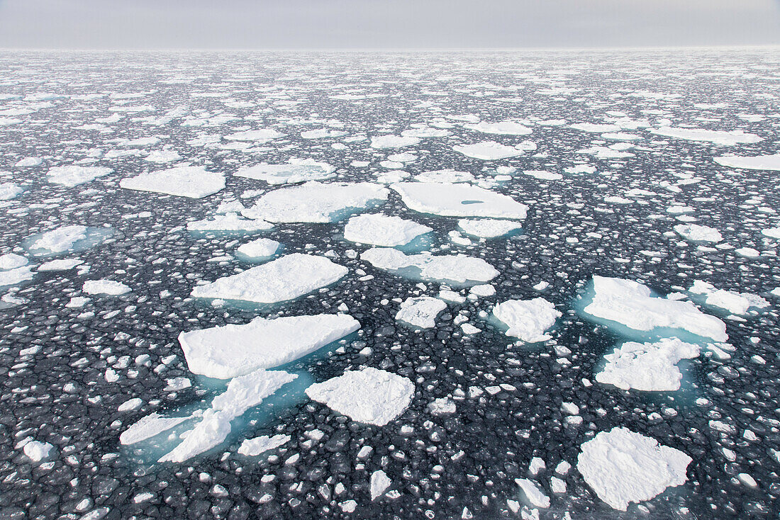  Drift ice in the Arctic Ocean, Nordaustland, Spitsbergen, Norway 