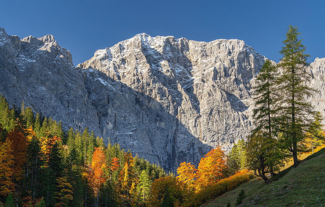  Colorful autumn in the Karwendel, Hinterriß, Karwendel, Tyrol, Austria, Europe 