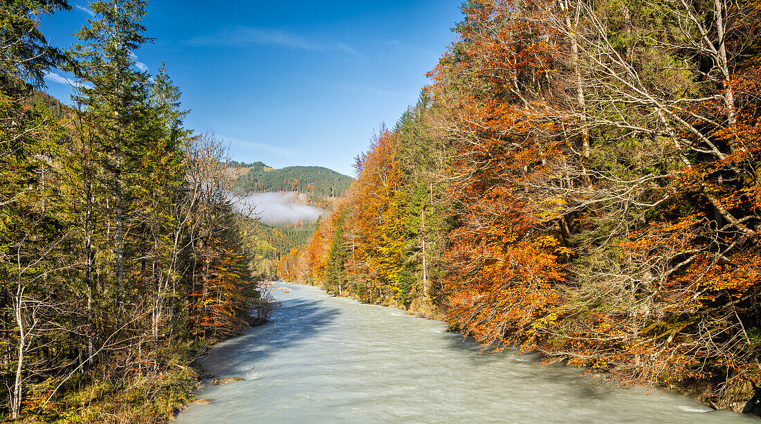  Colorful autumn in the Karwendel, Hinterriß, Karwendel, Tyrol, Austria, Europe 