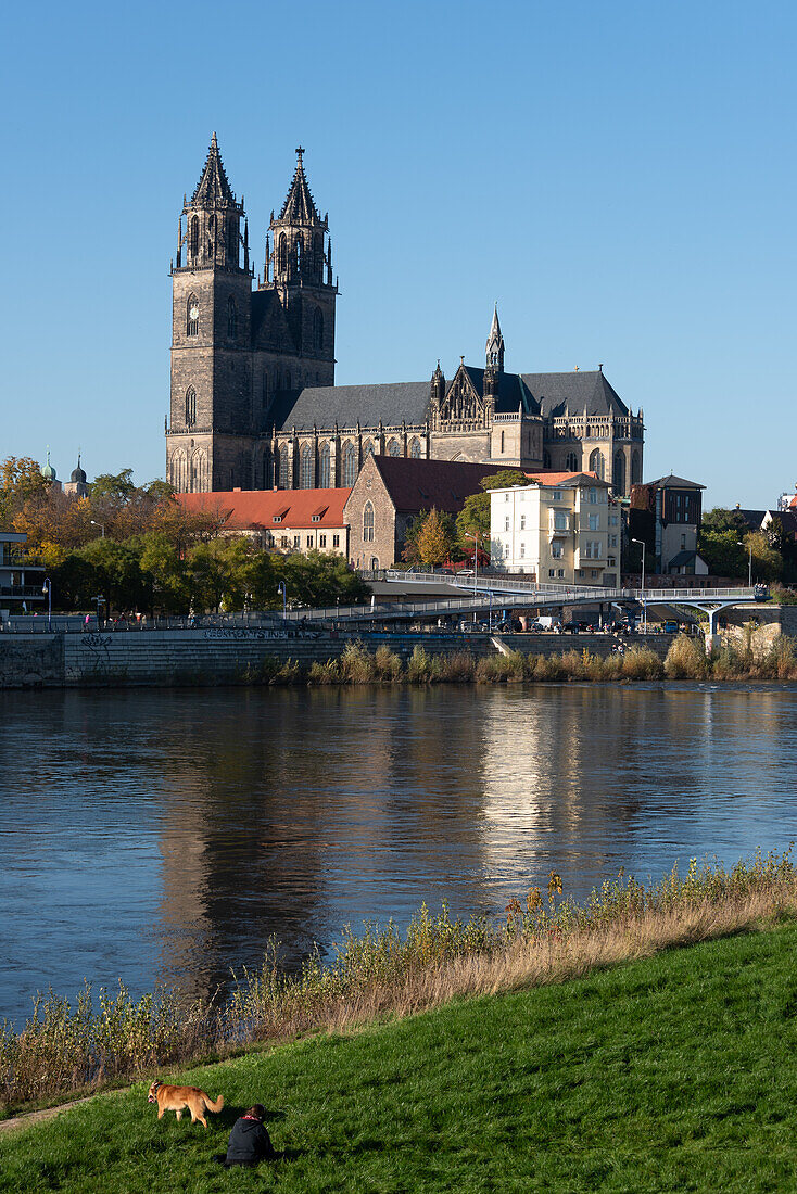 Magdeburger Dom, Elbe, blauer Himmel, Magdeburg, Sachsen-Anhalt, Deutschland