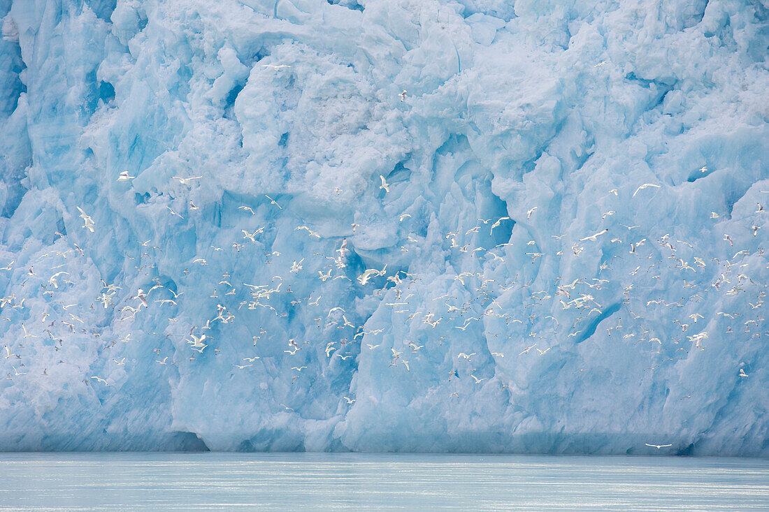  Ice formation on the Smeerenburgbreen glacier, Bjornfjord, Spitsbergen, Norway 