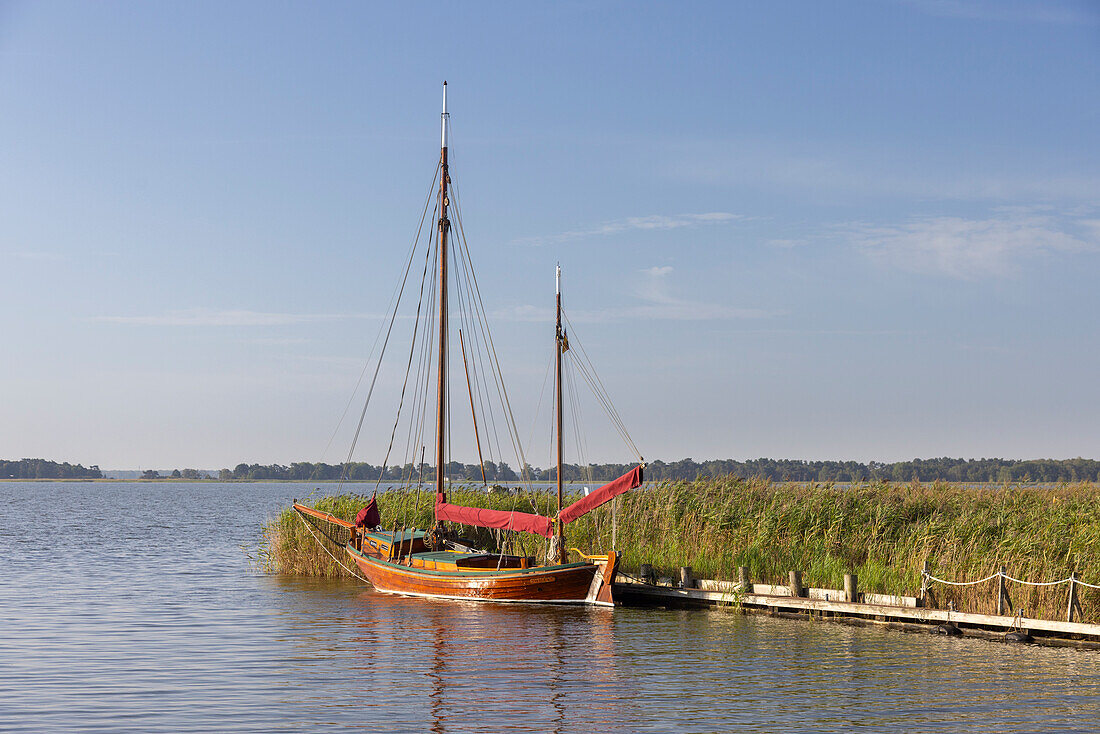 Zeesenboot im Bodden, Fischland-Darß-Zingst, Nationalpark Vorpommersche Boddenlandschaft, Mecklenburg-Vorpommern, Deutschland