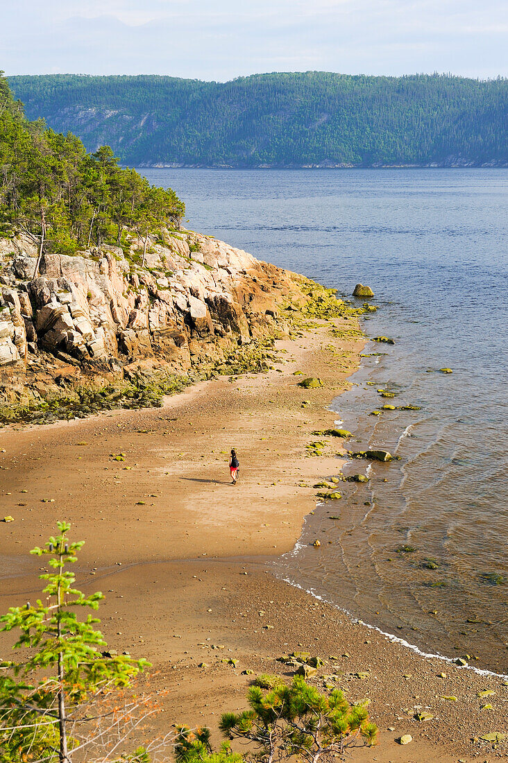 Anse de la Barge creek,Saguenay National Park,Baie Sainte-Marguerite,Province of Quebec,Canada,North America