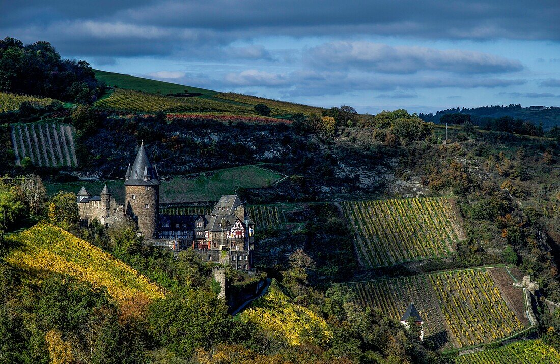 Burg Stahleck inmitten von Weinbergen im Herbst, im Hintergrund die Stadtmauer, Bacharach, Oberes Mittelrheintal, Rheinland-Pfalz, Deutschland