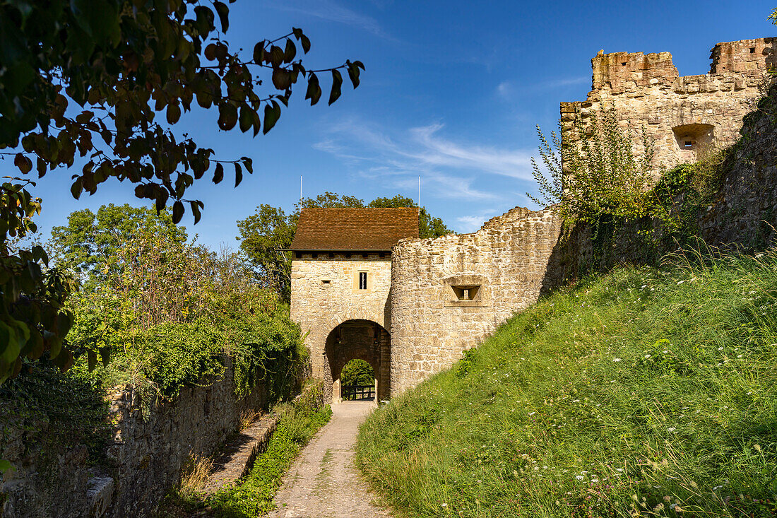  The ruins of Küssaburg in Küssenberg, Baden-Württemberg, Germany 