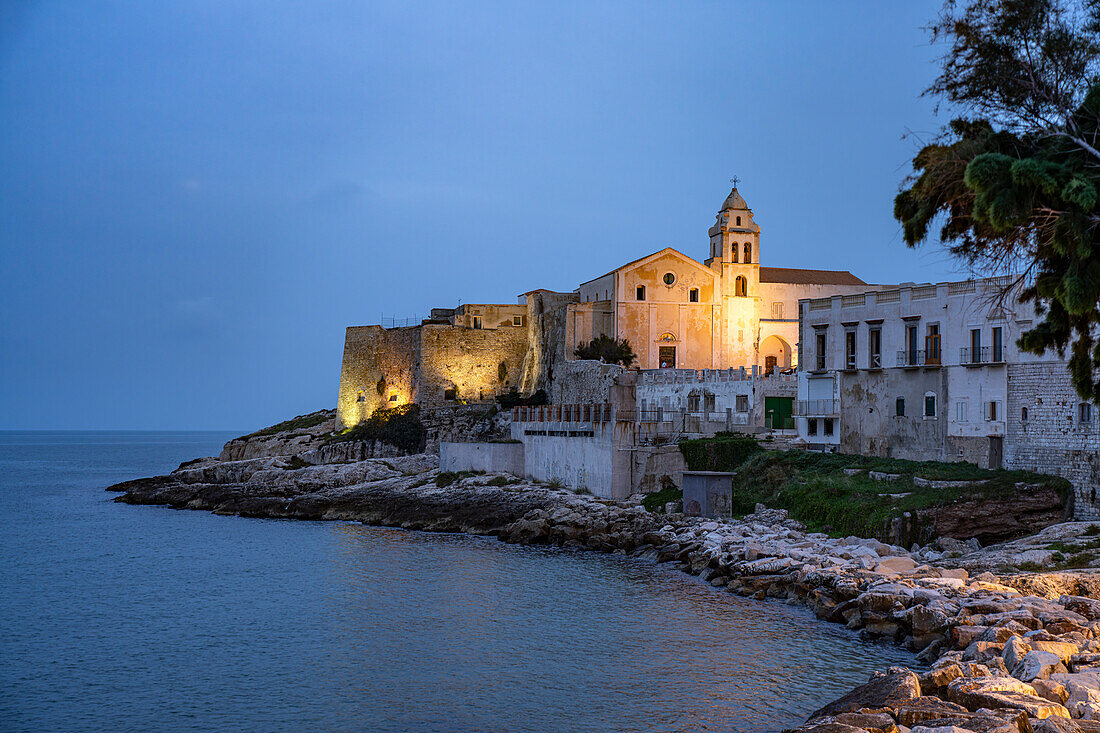  The church Chiesa di San Francesco at dusk, Vieste, Gargano, Apulia, Italy, Europe 