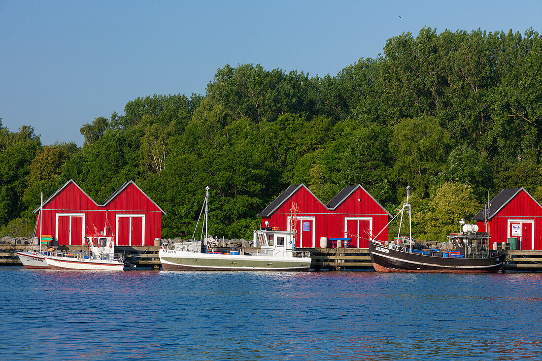  Fishing boats and huts in the harbor, Boltenhagen, Mecklenburg-Vorpommern, Germany 