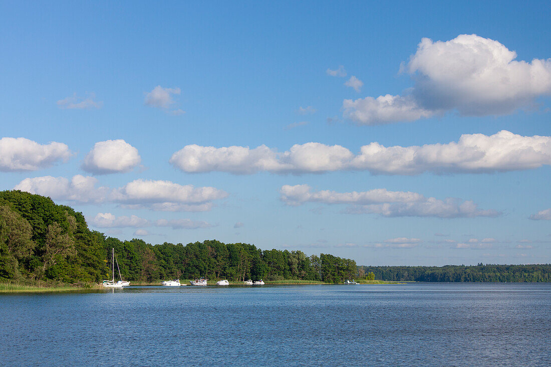 Segelboote, Plauer Werder, Sommer, Mecklenburg-Vorpommern, Deutsschland