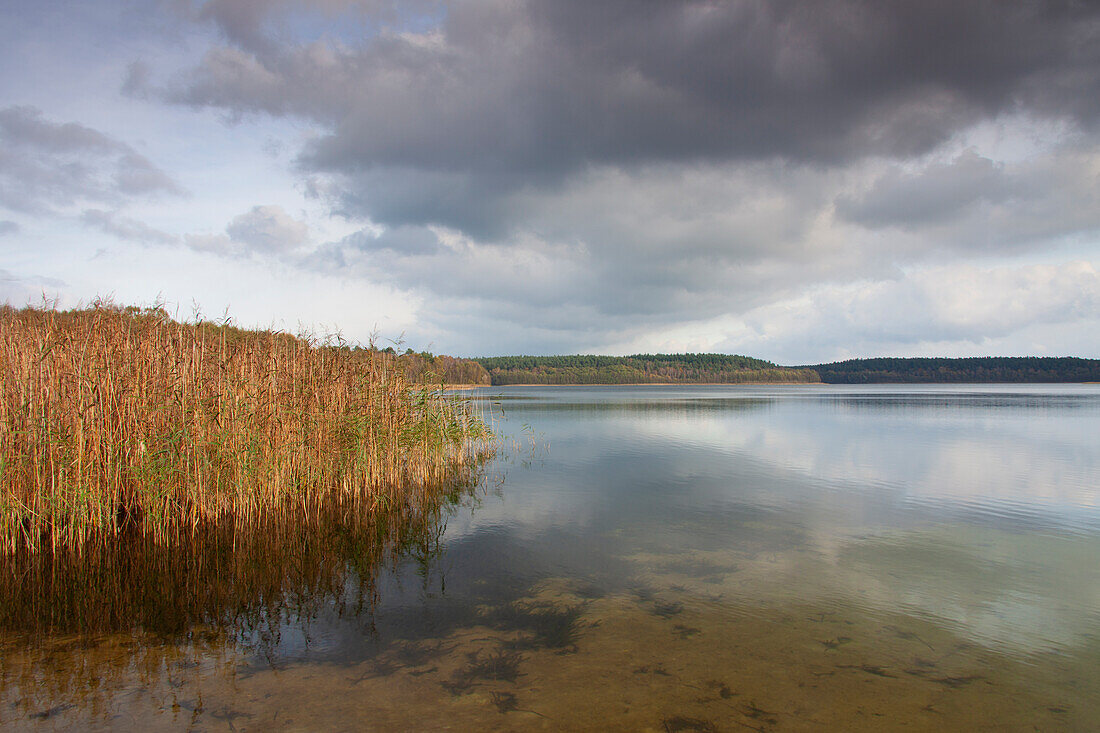  Large Lake Fuerstensee, Mueritz National Park, Mecklenburg-Western Pomerania, Germany 