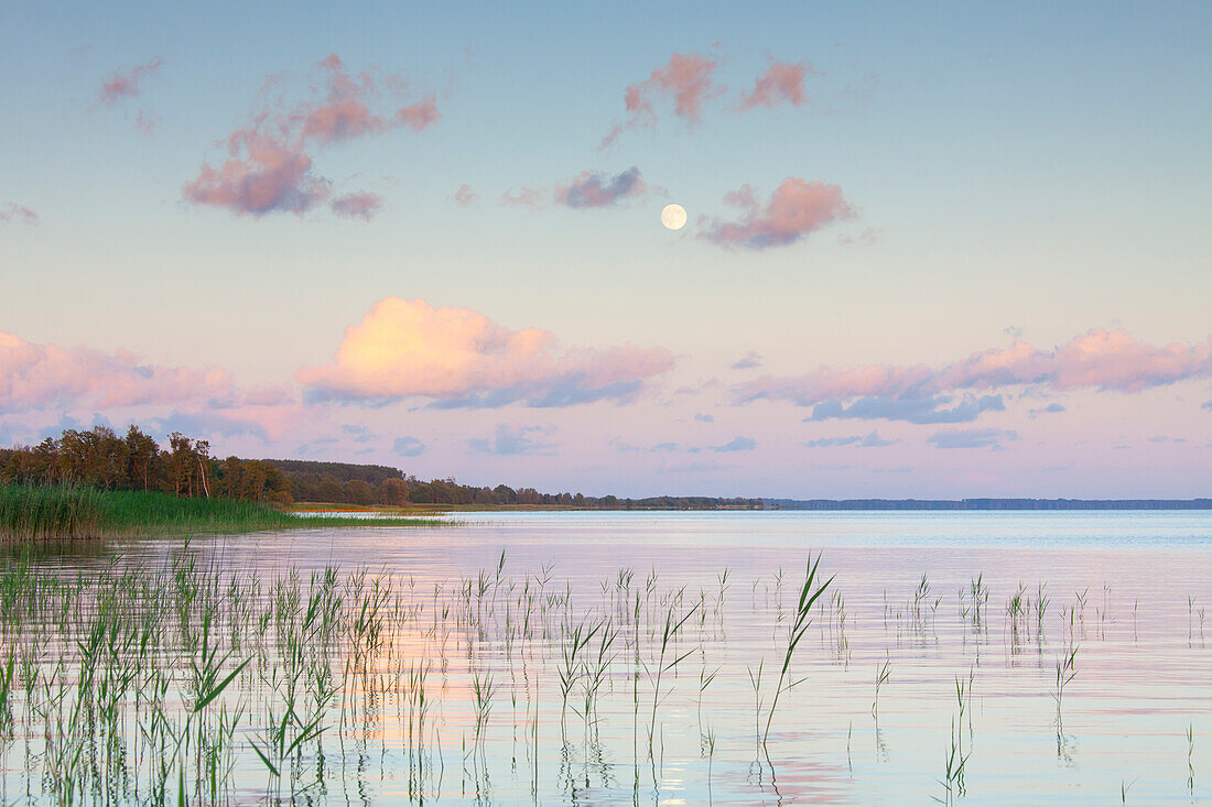  Moon over the Mueritz, Mueritz National Park, Mecklenburg-Vorpommern, Germany 