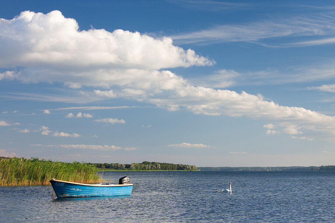  Boat in the Mueritz, Mueritz National Park, Mecklenburg-Vorpommern, Germany 