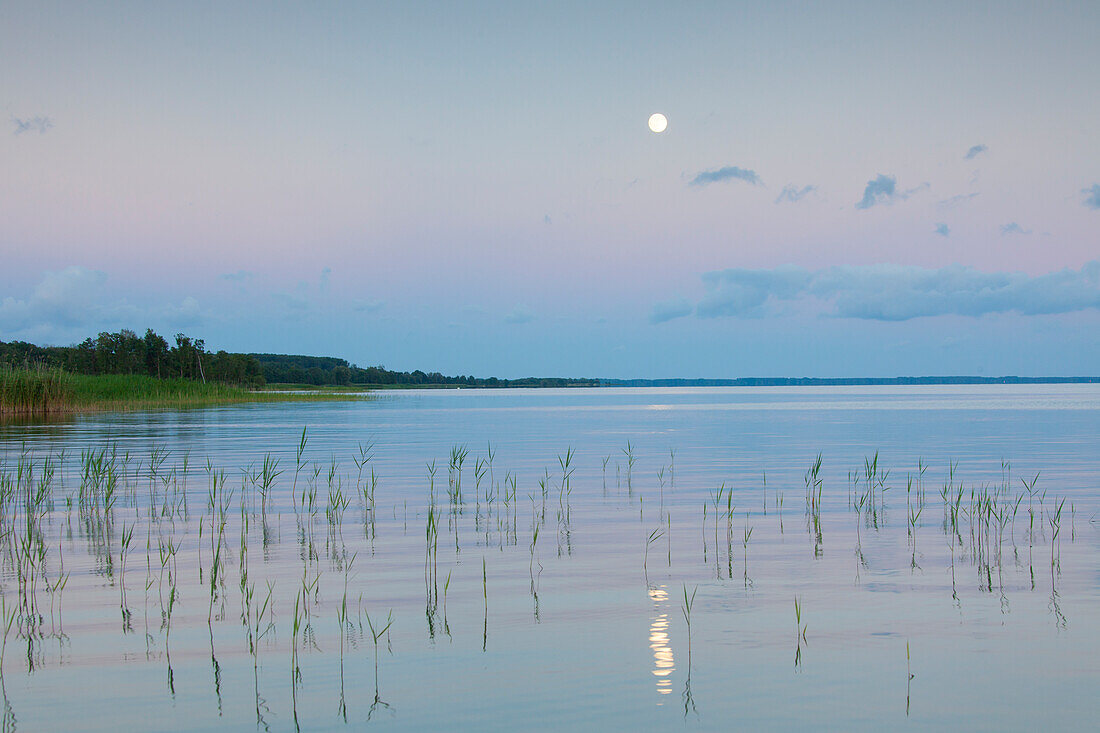  Moon over the Mueritz, Mueritz National Park, Mecklenburg-Vorpommern, Germany 