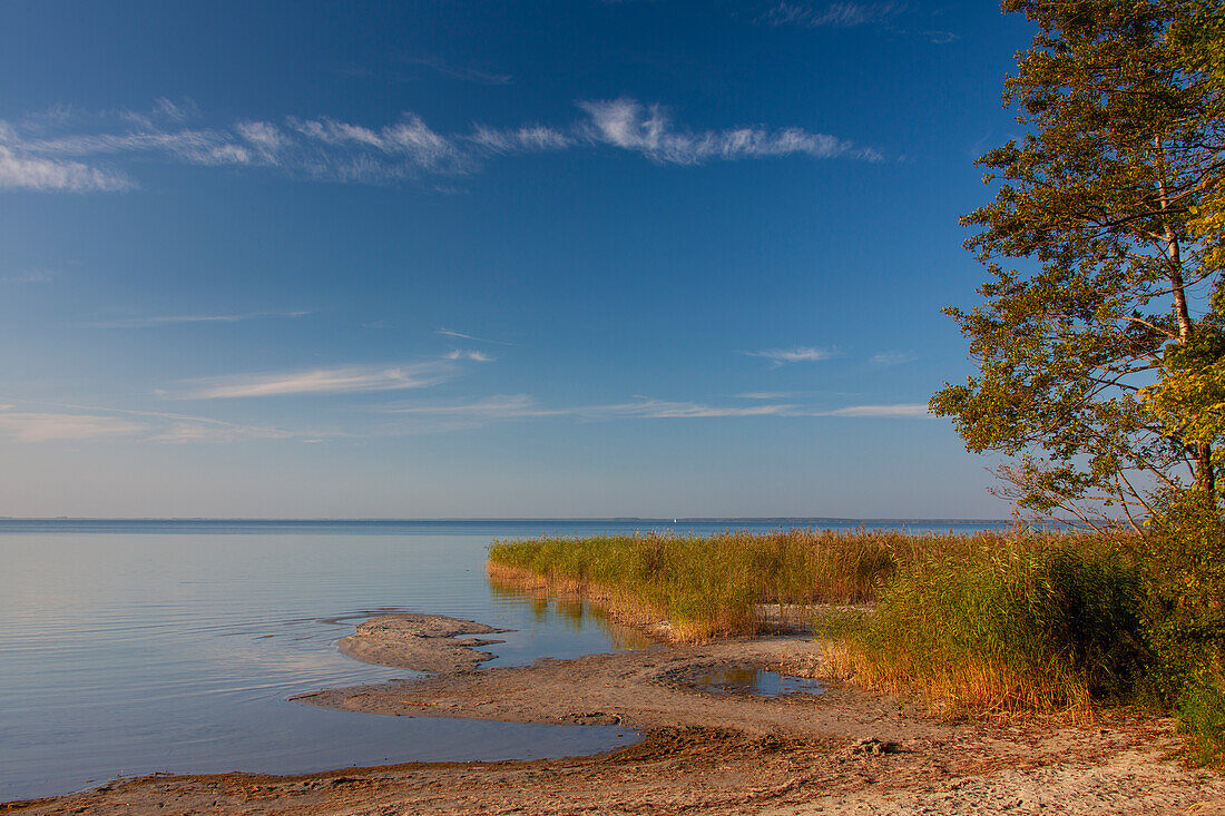  View of the Mueritz, Mueritz National Park, Mecklenburg-Vorpommern, Germany 