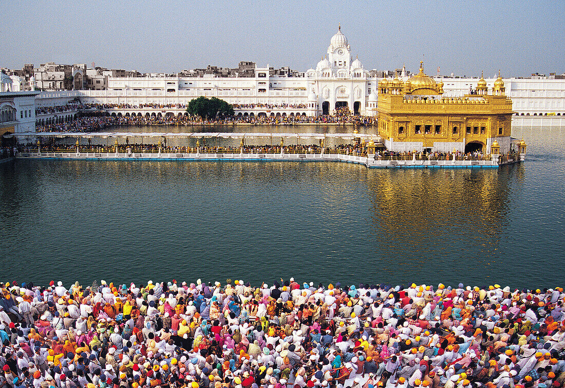  Goldener Tempel, Amritsar, Punjab, Indien, Asien 